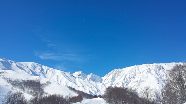 年末年始　過ごし方